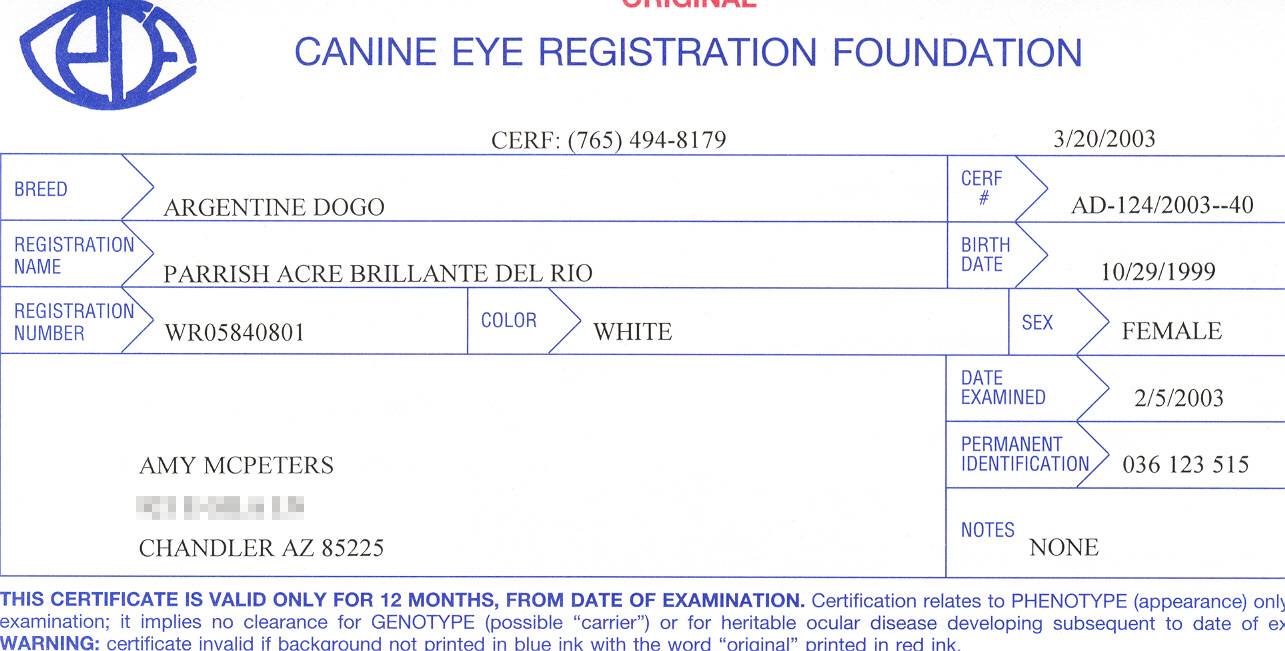 bri-cerf-certificate.jpg